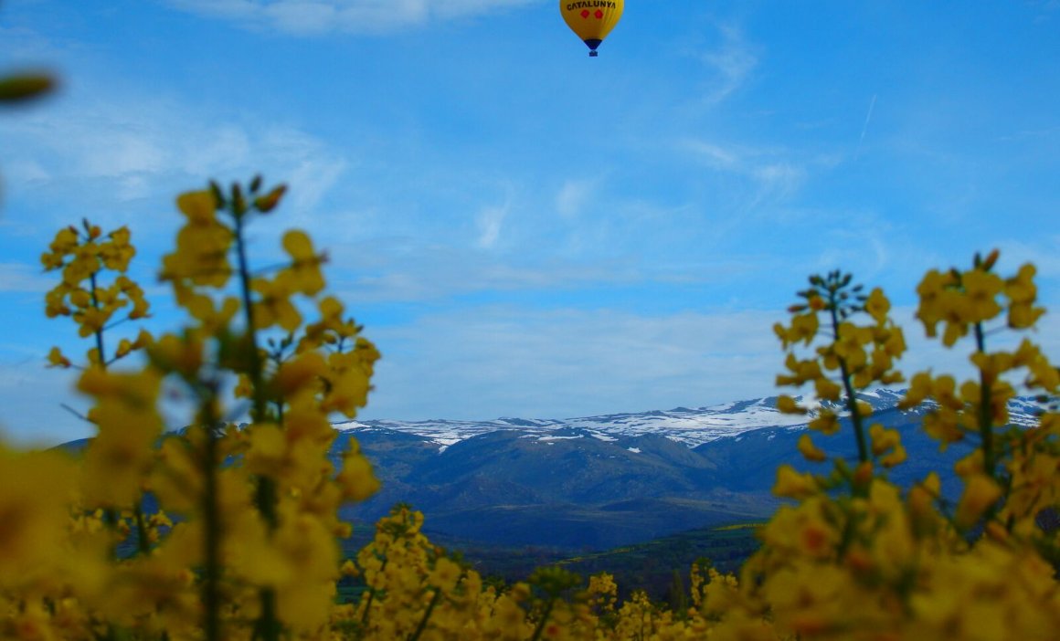 Cerdanya