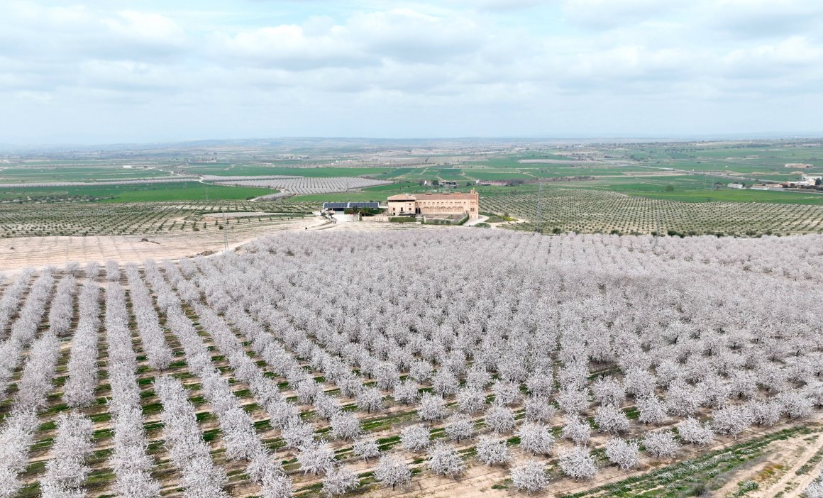 Vol en Globus Kon Tiki Segarra Urgell (5)