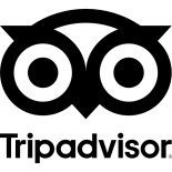 tripadvisor logo stacked