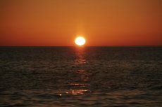 TURPIAL MAR 2011