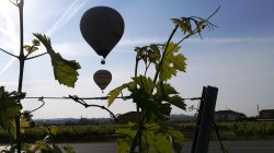 Enoturisme Penedès des de l’aire