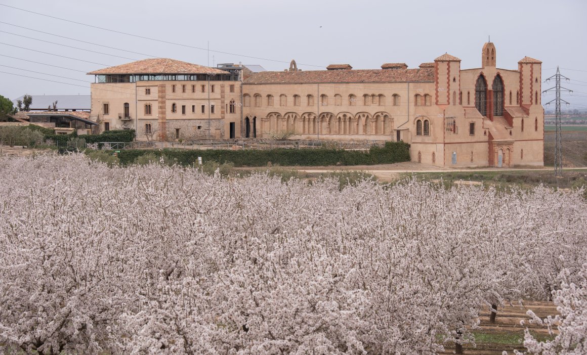 Vol en Globus Kon Tiki Segarra Urgell (2)