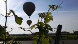 Enoturismo Penedès desde el aire