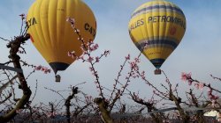 Descubre los campos floridos de Aitona desde el aire