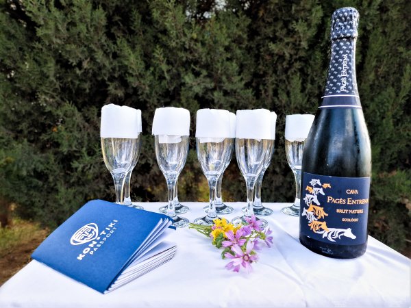 The 4x4 Kon-Tiki will pick you up at the landing field to return us to the starting point where we will toast with cava and you will receive the certificate and photos of the flight.