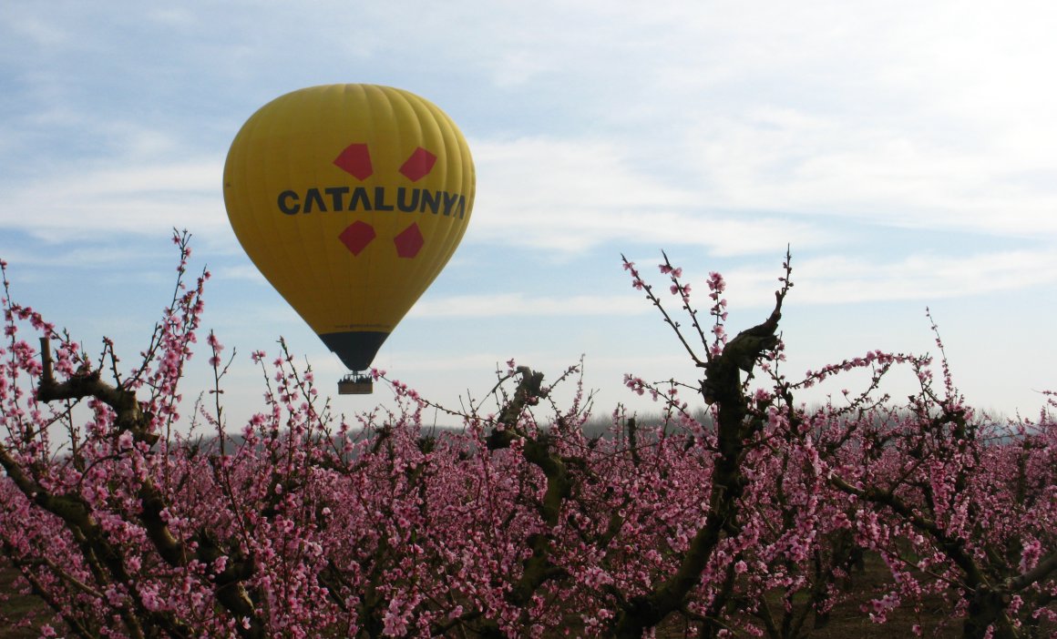 Vol en globus sobre arbres florits al Segrià