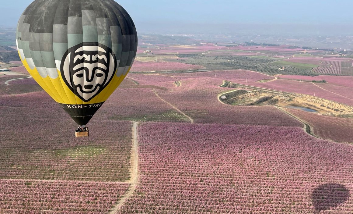 Vol  globus fruiters florits globus kon tiki (2)