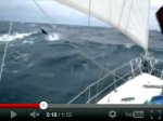 ver video