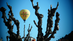 Una ruta por el Bages, tierra de contrastes 