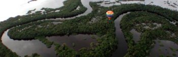 Expedición Turpial - Amazonas