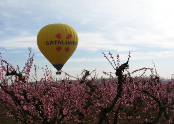 Vol en globus sobre arbres florits al Segrià