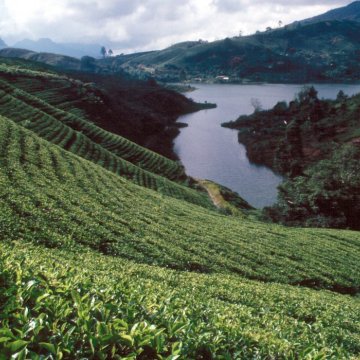 KT3D ETAPA 14 - SRI LANKA