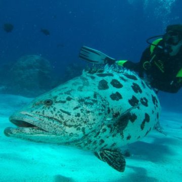KT3D ETAPA 11 - VANUATU