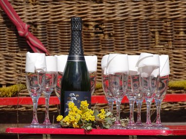 Globo Aerostático para Cumpleaños