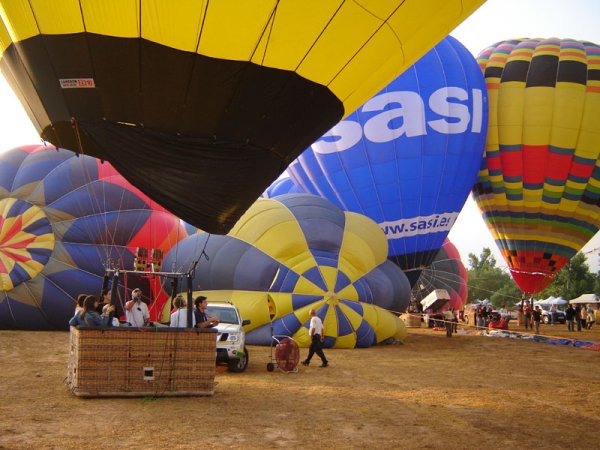 EBF2010