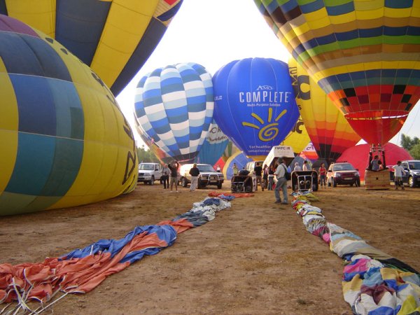 EBF 2007