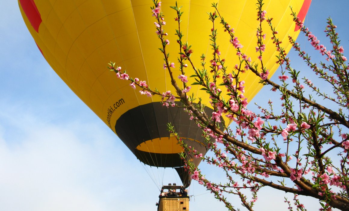 Vol en globus sobre arbres florits al Segrià