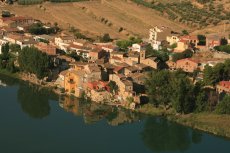 NOGUERA